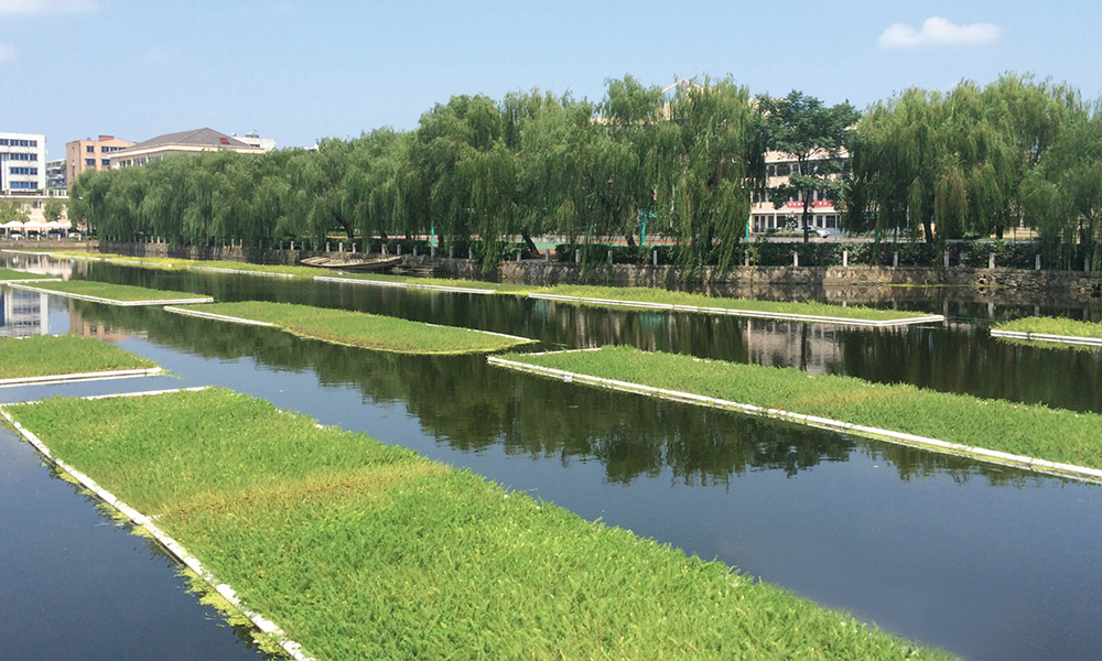 紹興上虞后濠湖生態(tài)治理工程